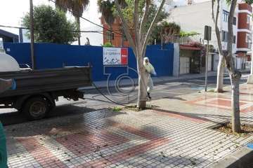 Parques y Jardines desinfecta la rambla central de Salinetas (Foto TA)