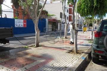 Parques y Jardines desinfecta la rambla central de Salinetas (Foto TA)