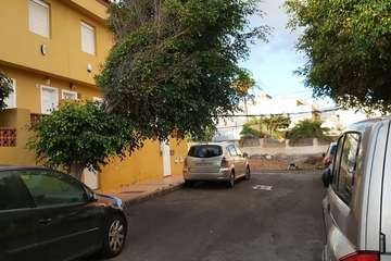 La calle Petrarca clama por un poda urgente de sus árboles (Foto TA)