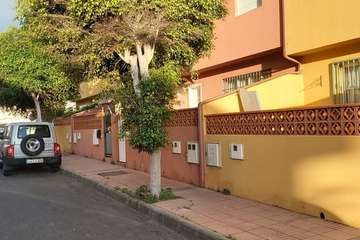 La calle Petrarca clama por un poda urgente de sus árboles (Foto TA)