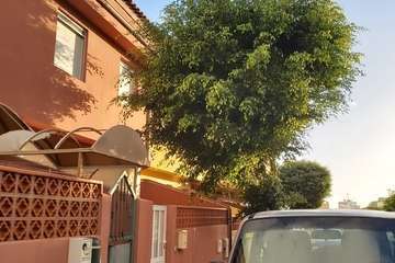 La calle Petrarca clama por un poda urgente de sus árboles (Foto TA)