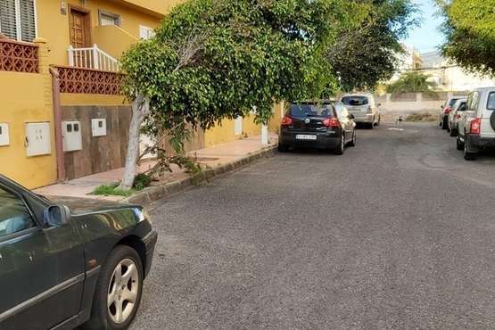 La calle Petrarca clama por un poda urgente de sus árboles (Foto TA)