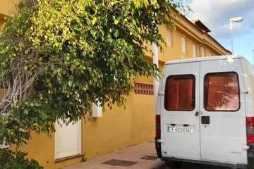 La calle Petrarca clama por un poda urgente de sus árboles (Foto TA)