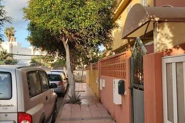 La calle Petrarca clama por un poda urgente de sus árboles (Foto TA)