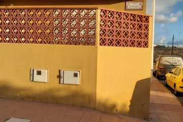 La calle Petrarca clama por un poda urgente de sus árboles (Foto TA)