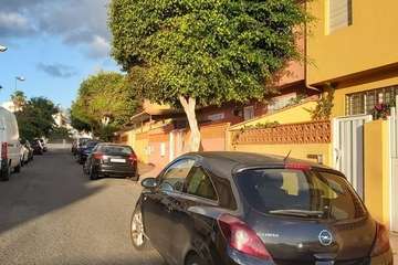 La calle Petrarca clama por un poda urgente de sus árboles (Foto TA)