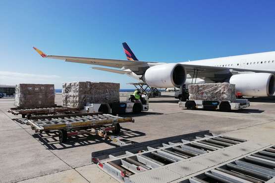 Gando recibe un nuevo avión con material sanitario para la lucha contra el coronavirus (Foto Acfi Press)