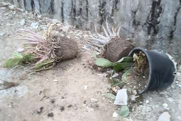 Vertedero en un solar de la calle de Sagunto de Las Huesas (Foto TA)
