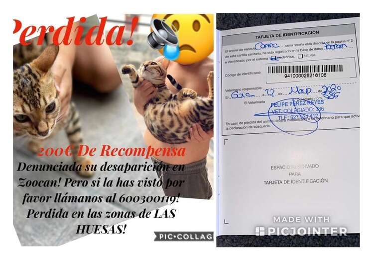 Imagen difundida de sus propietarios (Foto TA)