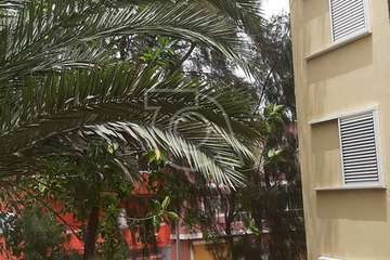 Las Remudas pide la retirada de restos secos de poda de sus jardines y corte de ramas de árboles (Foto TA)