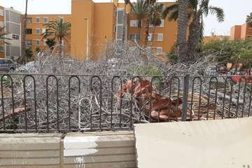 Las Remudas pide la retirada de restos secos de poda de sus jardines y corte de ramas de árboles (Foto TA)