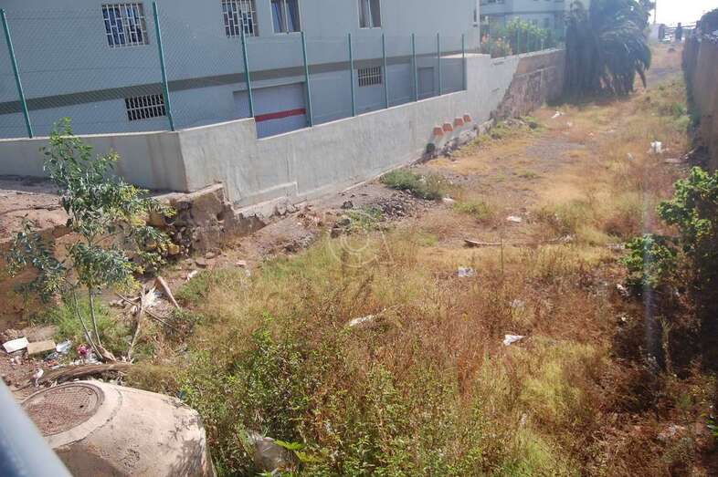 El cauce bajo del barranquillo está sucio y con maleza/TA.