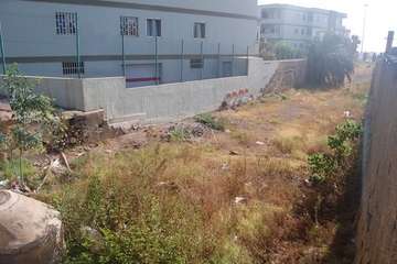 Cauce del tramo bajo del barranquillo de Melenara/TA.