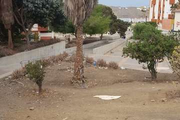  Jardines públicos abandonados en el Valle de Jinámar/TA.