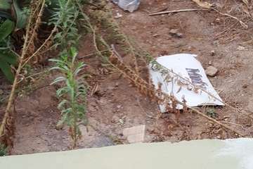  Jardines públicos abandonados en el Valle de Jinámar/TA.