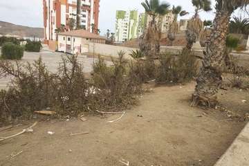  Jardines públicos abandonados en el Valle de Jinámar/TA.