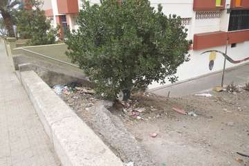  Jardines públicos abandonados en el Valle de Jinámar/TA.