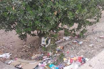  Jardines públicos abandonados en el Valle de Jinámar/TA.