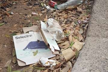  Jardines públicos abandonados en el Valle de Jinámar/TA.