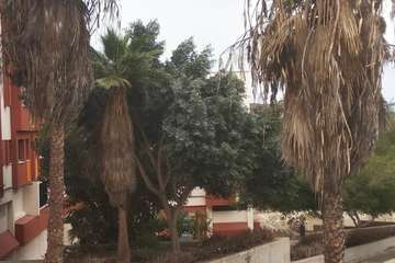  Jardines públicos abandonados en el Valle de Jinámar/TA.