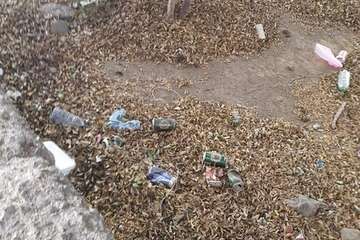  Jardines públicos abandonados en el Valle de Jinámar/TA.
