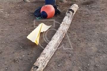 Un grupo de jóvenes limpia la playa de Jinámar/TA.