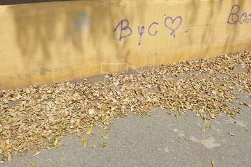 La calle del colegio de Marpequeña, un manto de hojas secas y suciedad/TA.