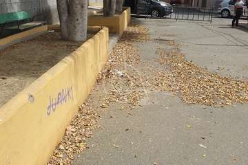 La calle del colegio de Marpequeña, un manto de hojas secas y suciedad/TA.