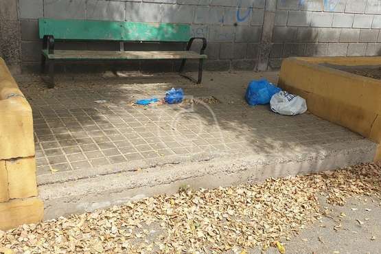 La calle del colegio de Marpequeña, un manto de hojas secas y suciedad/TA.