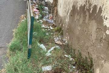 La falta de limpieza se hace notar en calles de La Pardilla/TA.