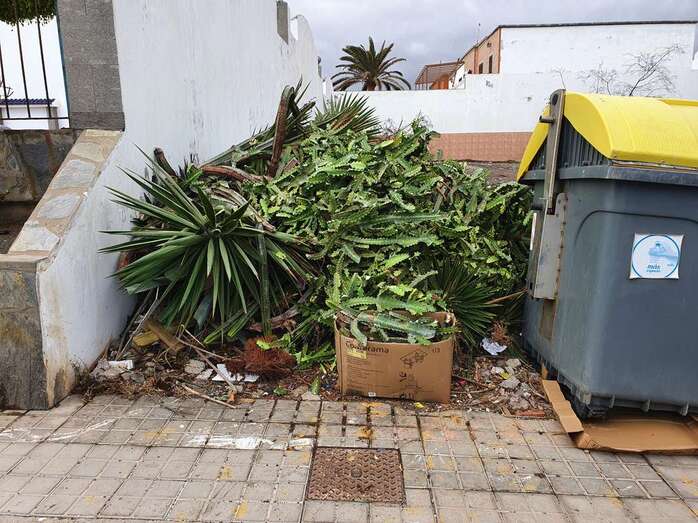 Los restos permanecen desde el pasado 1 de octubre en Playa del Hombre (Foto TA)