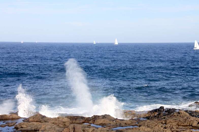 Veleros a su paso por la costa teldense de La Garita/Jesús Ruiz Mesa.
