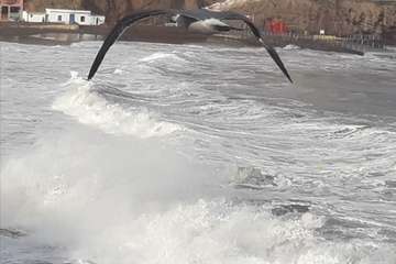 Sobrevolando el temporal marino en Melenara/Gumersindo Hernández.