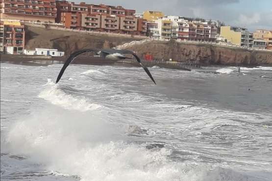 Sobrevolando el temporal marino en Melenara/Gumersindo Hernández.