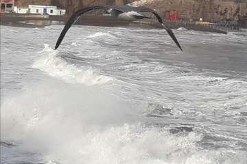 Sobrevolando el temporal marino en Melenara/Gumersindo Hernández.
