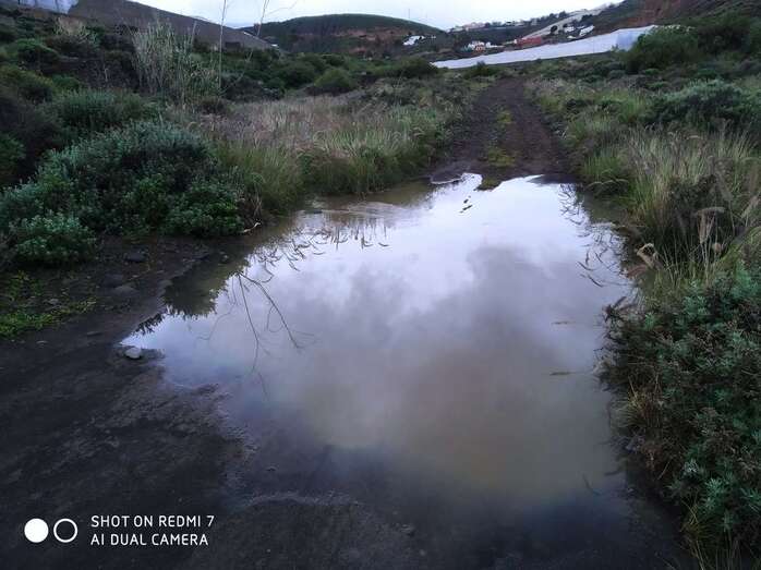 Imagen del vertido (Foto TA)