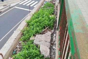  La basura 'florece' en unos parterres del Cruce de Melenara/TA.