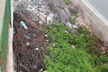  La basura 'florece' en unos parterres del Cruce de Melenara/TA.