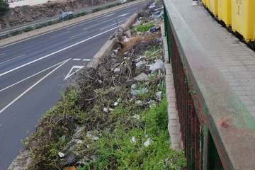  La basura 'florece' en unos parterres del Cruce de Melenara/TA.