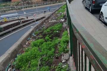  La basura 'florece' en unos parterres del Cruce de Melenara/TA.
