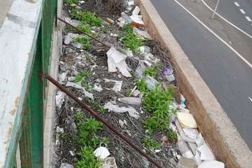  La basura 'florece' en unos parterres del Cruce de Melenara/TA.