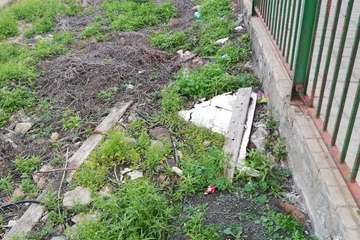  La basura 'florece' en unos parterres del Cruce de Melenara/TA.