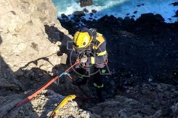 Los bomberos de Telde rescatan a una gata en peligro en el acantilado de Malpaso/TA.