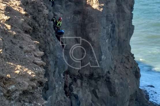 Los bomberos de Telde rescatan a una gata en peligro en el acantilado de Malpaso/TA.