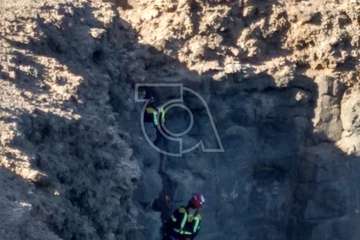 Los bomberos de Telde rescatan a una gata en peligro en el acantilado de Malpaso/TA.