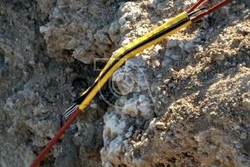 Los bomberos de Telde rescatan a una gata en peligro en el acantilado de Malpaso/TA.