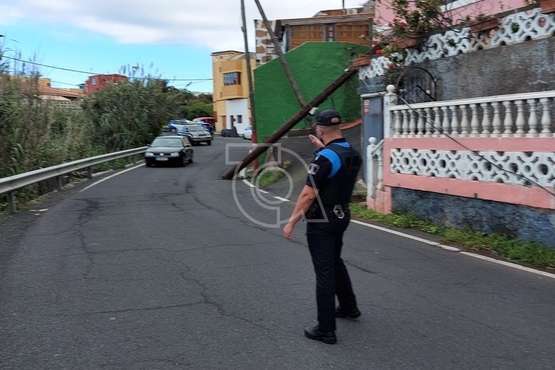 Un poste de telefonía se desploma en la carretera del Valle de los Nueve-Telde/TA.
