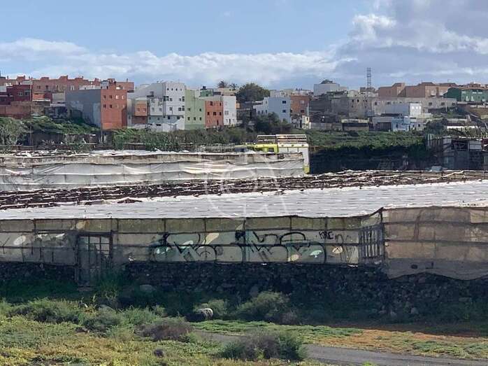 El camión de los bomberos entre los invernaderos(TA.