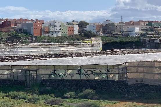 Conato de incendio en unos invernaderos de La Pardilla (Telde)/TA.