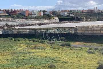 Conato de incendio en unos invernaderos de La Pardilla (Telde)/TA.